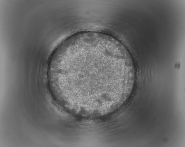 X0000112730679200910011158
