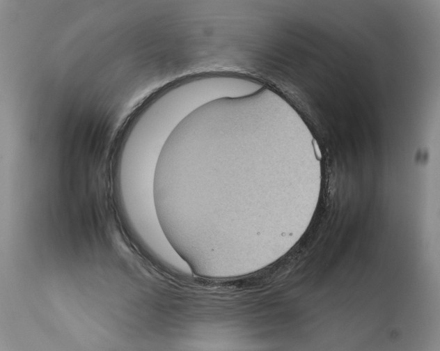 X0000112730680200910011158