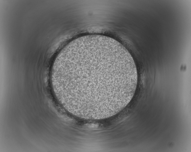 X0000112730687200910011157