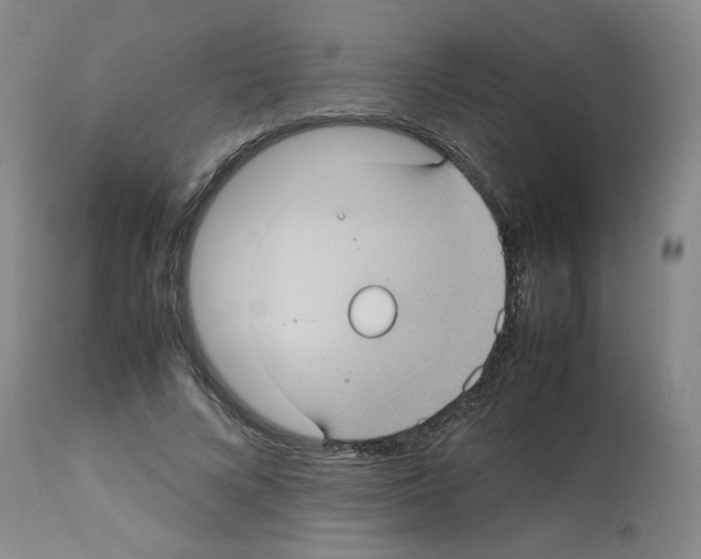 X0000112730688200910011157