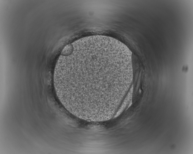 X0000112730689200910011157