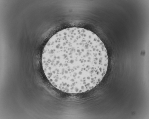 X0000112730691200910011157