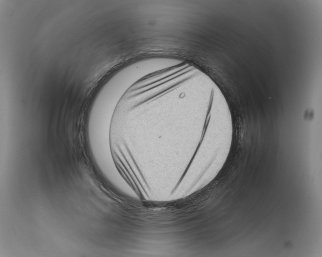 X0000112730692200910011157
