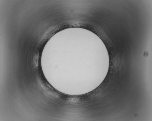 X0000112730694200910011157