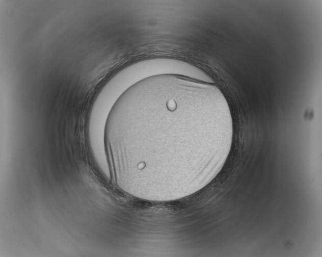 X0000112730696200910011157