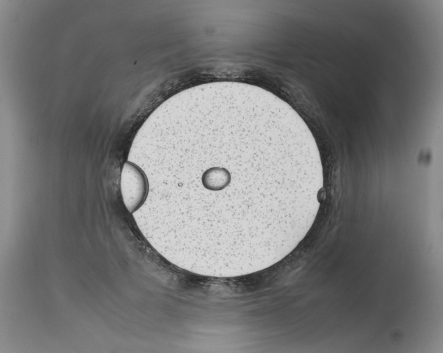 X0000112730697200910011157