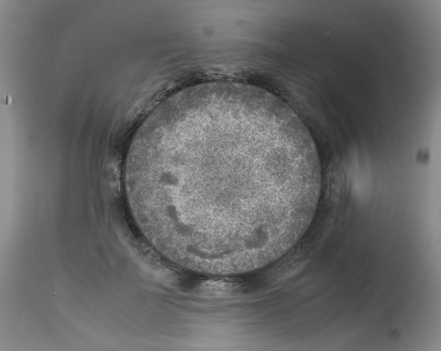X0000112730699200910011157