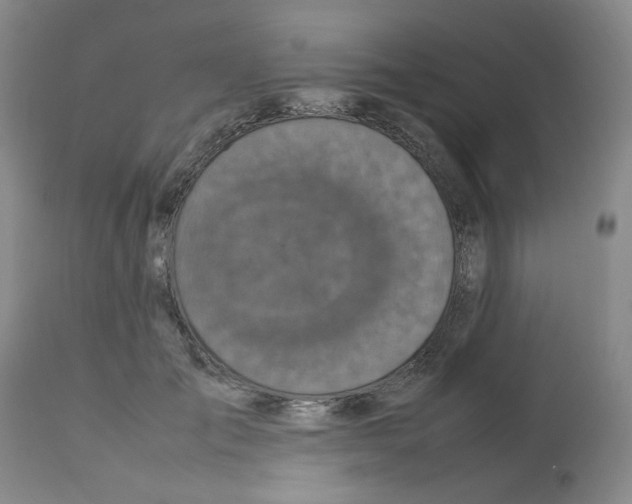 X0000112730701200910011157