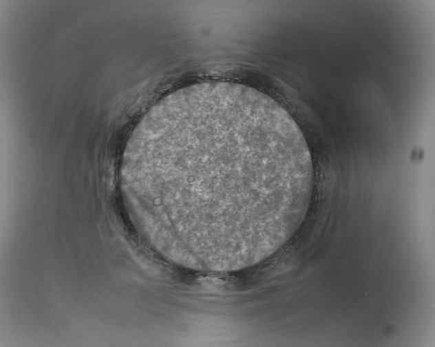 X0000112730703200910011157