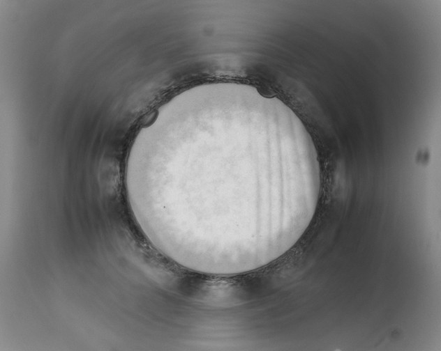 X0000112730704200910011157