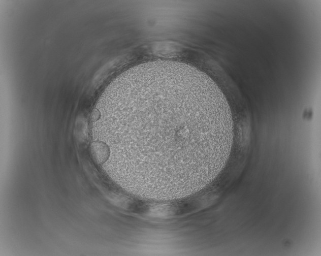 X0000112730705200910011157