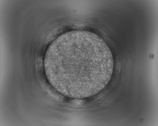 X0000112730711200910011157