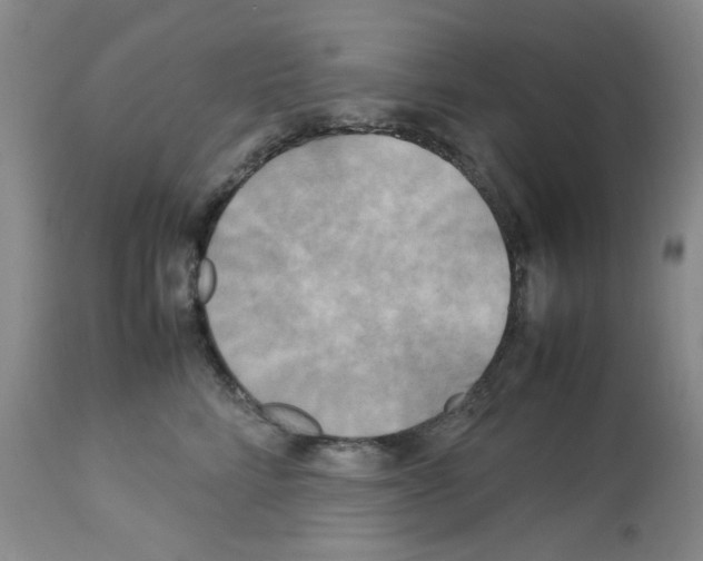X0000112730712200910011157