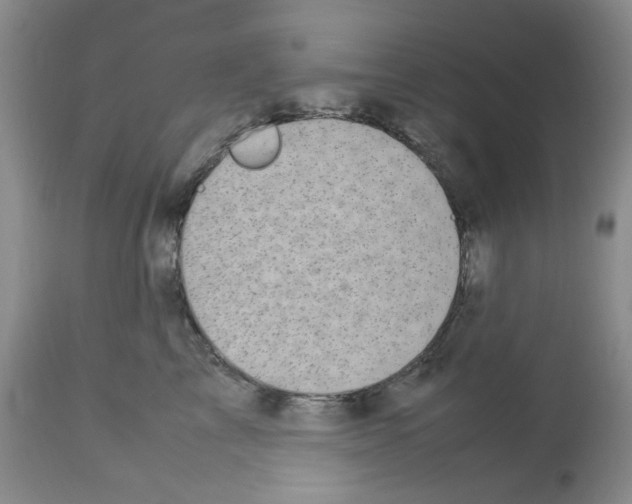 X0000112730713200910011157