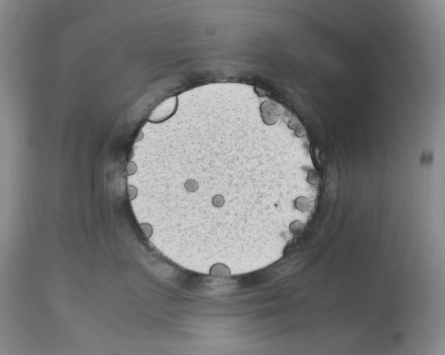X0000112730719200910011157