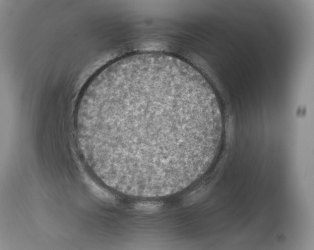 X0000112730721200910011156