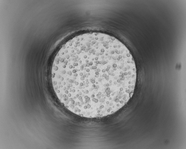 X0000112730722200910011156