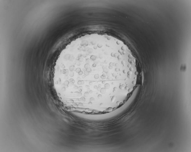 X0000112730723200910011156