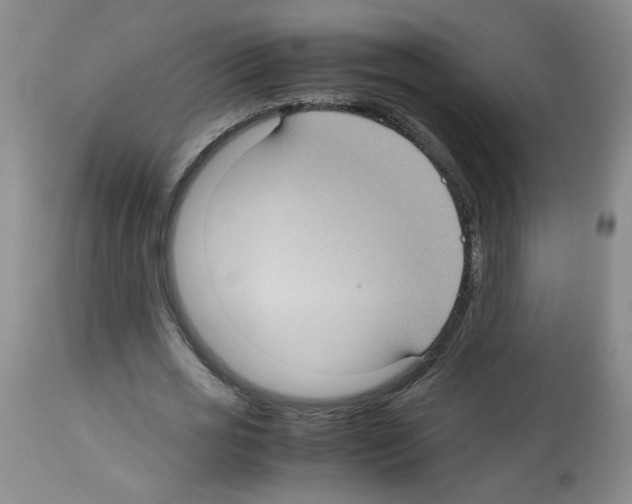 X0000112730725200910011156