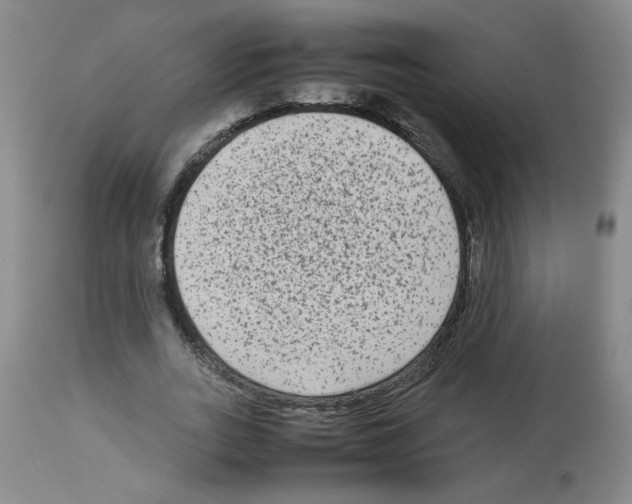 X0000112730727200910011156