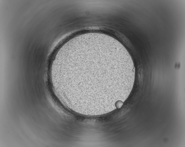 X0000112730728200910011156