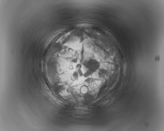 X0000112730729200910011156