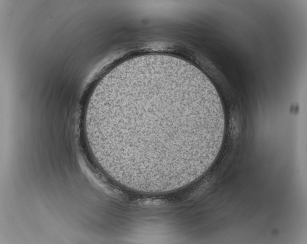 X0000112730730200910011156
