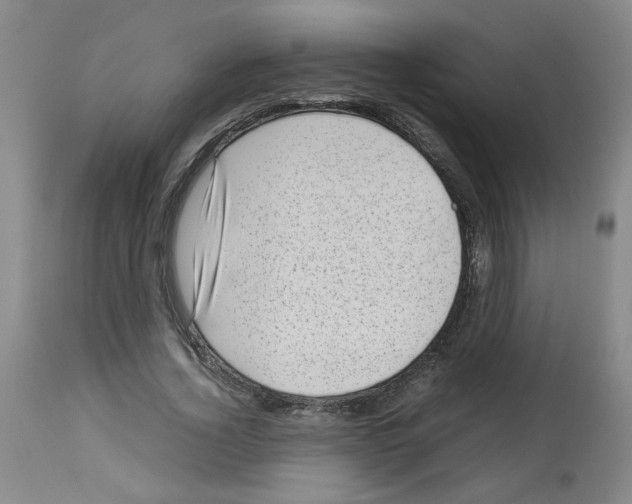 X0000112730732200910011156