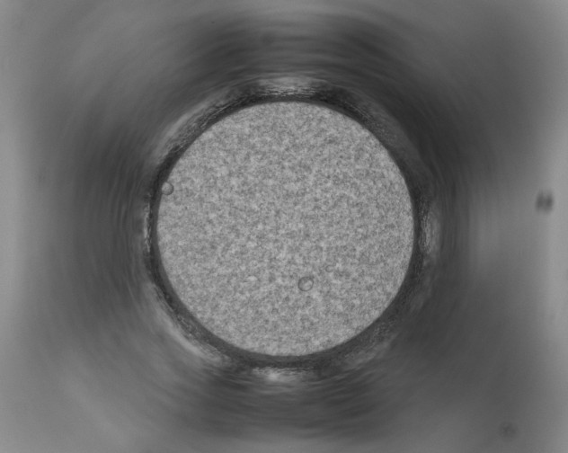 X0000112730733200910011156