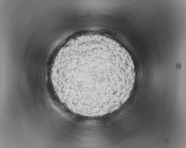 X0000112730734200910011156