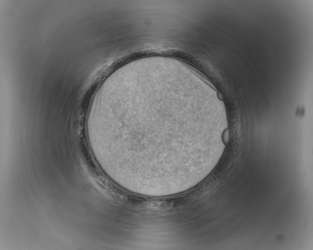 X0000112730736200910011156