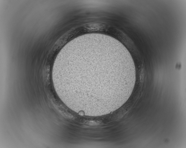 X0000112730737200910011156