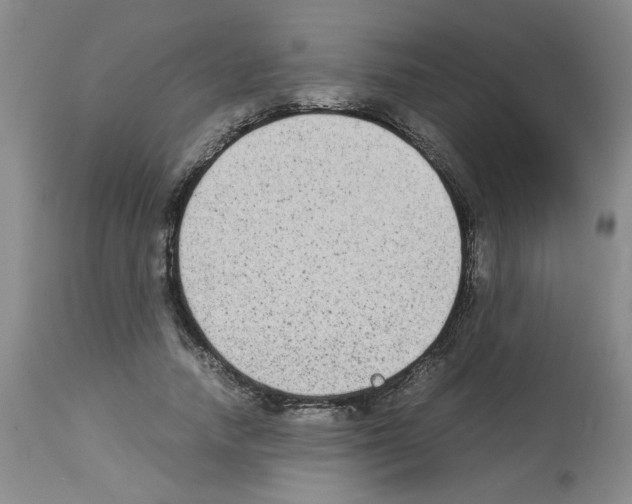 X0000112730738200910011156