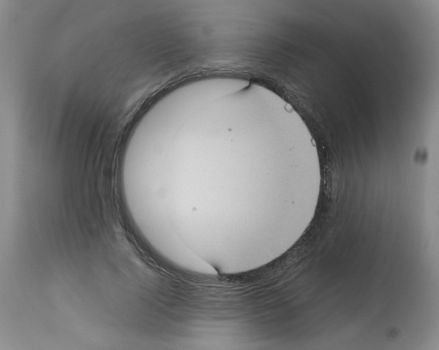X0000112730740200910011156