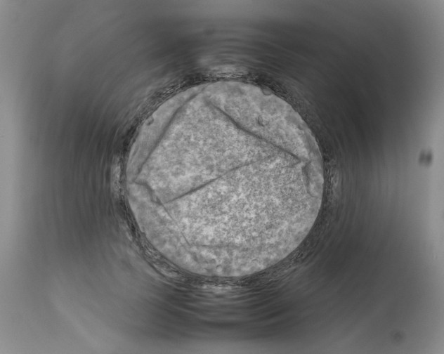 X0000112730745200910011157
