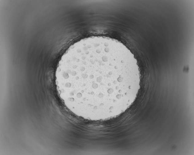 X0000112730747200910011157