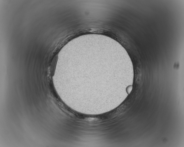 X0000112730748200910011157