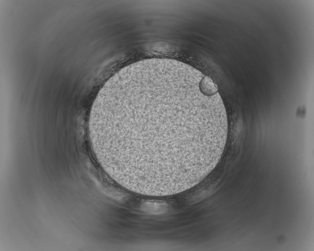 X0000112730749200910011157