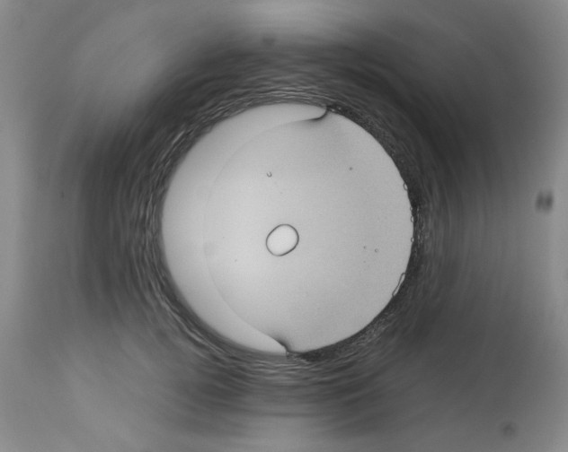 X0000112730752200910011157