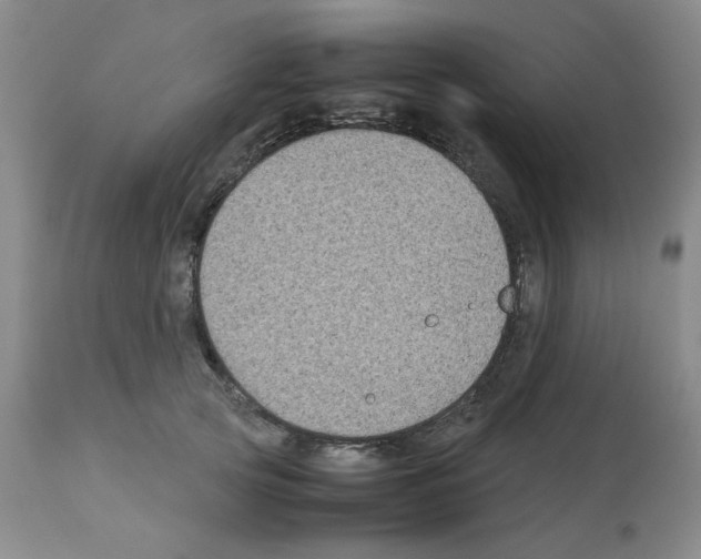 X0000112730753200910011157