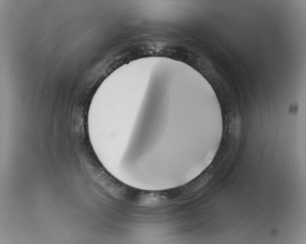 X0000112730754200910011157