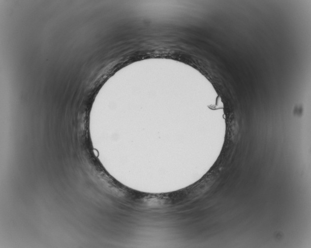 X0000112730756200910011157