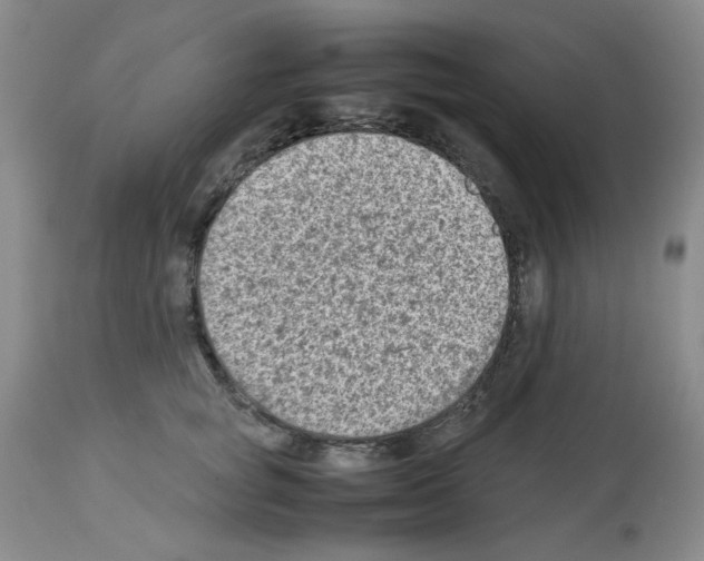 X0000112730757200910011157