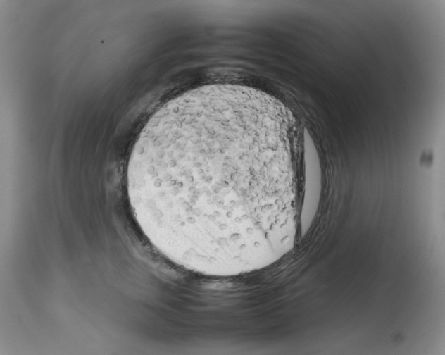 X0000112730759200910011157