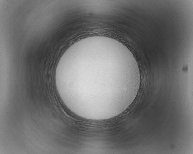 X0000112730760200910011157