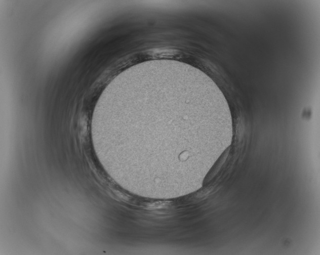 X0000112730761200910011157
