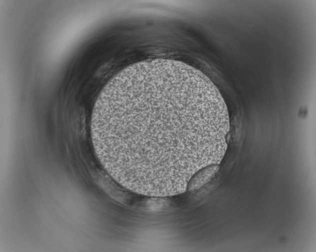 X0000112730762200910011157
