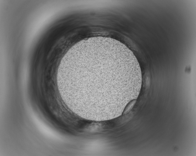 X0000112730764200910011157