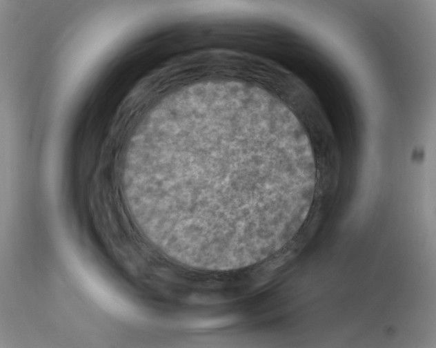 X0000112730765200910011157