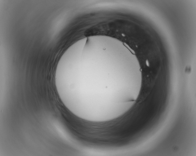 X0000112730766200910011157